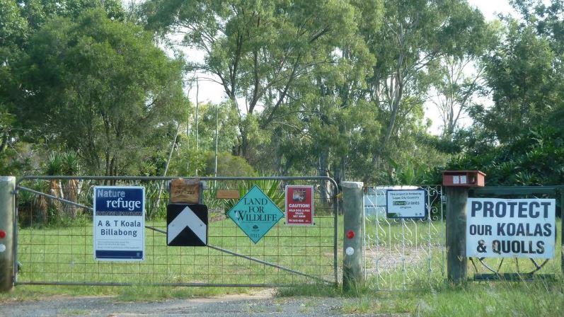 NMEP_KoalaRefuge_267CrowsonLane.jpg