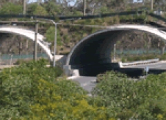 compton_rd_fauna_bridge.gif