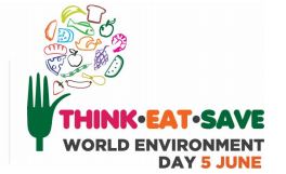 Think-Eat-Save UNEP2013