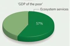 GIST_GREEN_ACCOUNTING