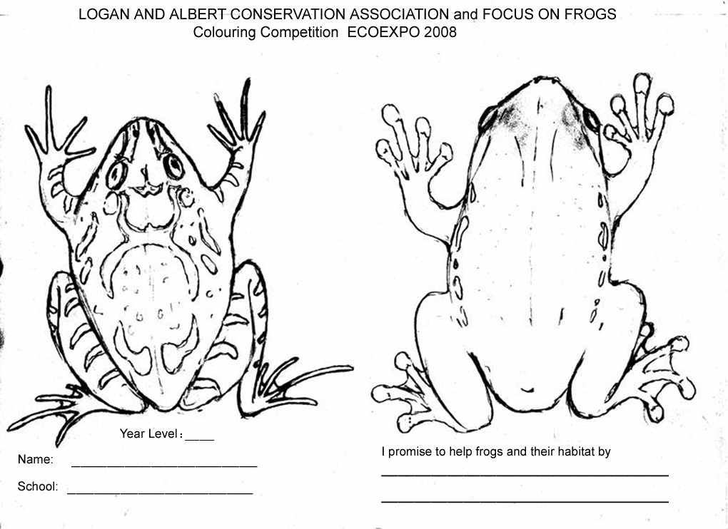 frogs_ecoexpo.jpg