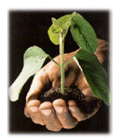 hand-plant