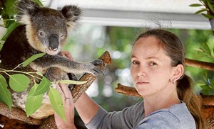 koala-in-care