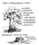 tree_values