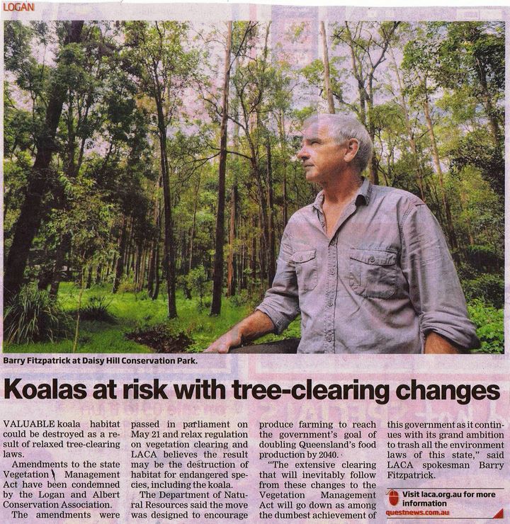 AlbertLogan news 5 June13 koalas.BF