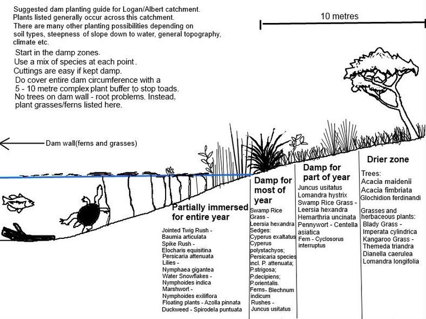 dam-planting-guide