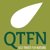 QTFN