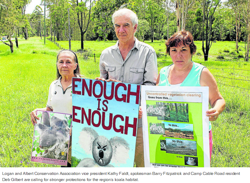 calling-for-stronger-protections-koala-habitat JTimes14Jan2015