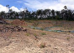 flagstone_landclearing