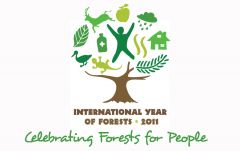 iyf_home